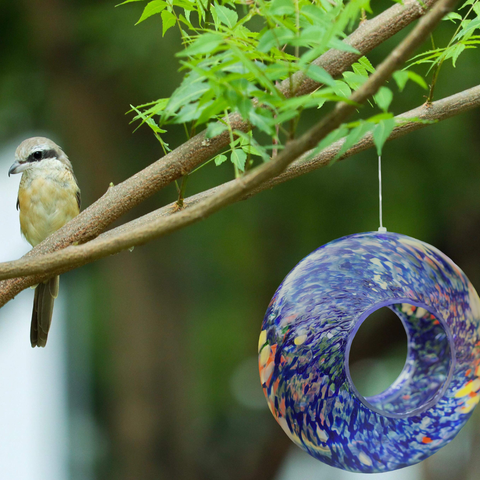 Hanging Bird Feeders